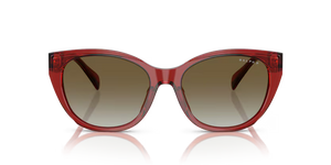 Occhiale da sole Ralph Lauren RA 5324U