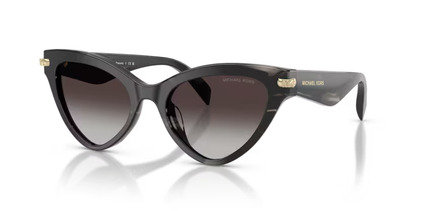 Occhiale da sole Michael Kors MK 2259U Roanoke