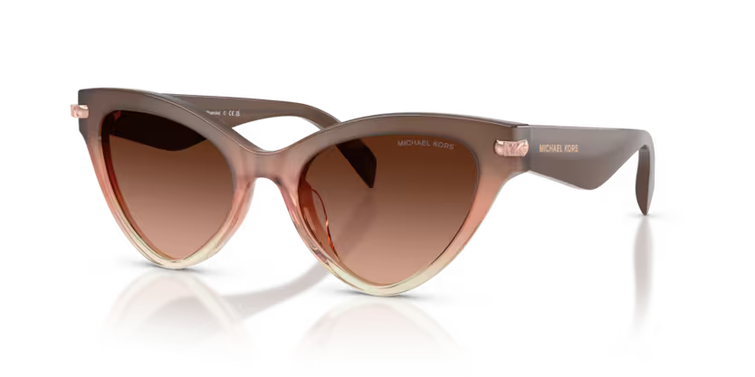 Occhiale da sole Michael Kors MK 2259U Roanoke