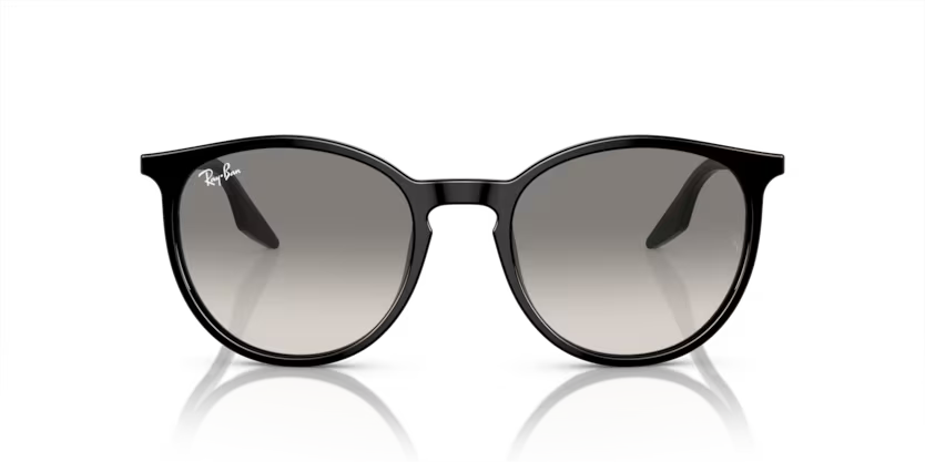 Occhiali da sole Ray Ban RB 2204