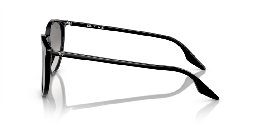 Occhiali da sole Ray Ban RB 2204