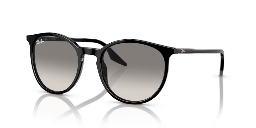 Occhiali da sole Ray Ban RB 2204