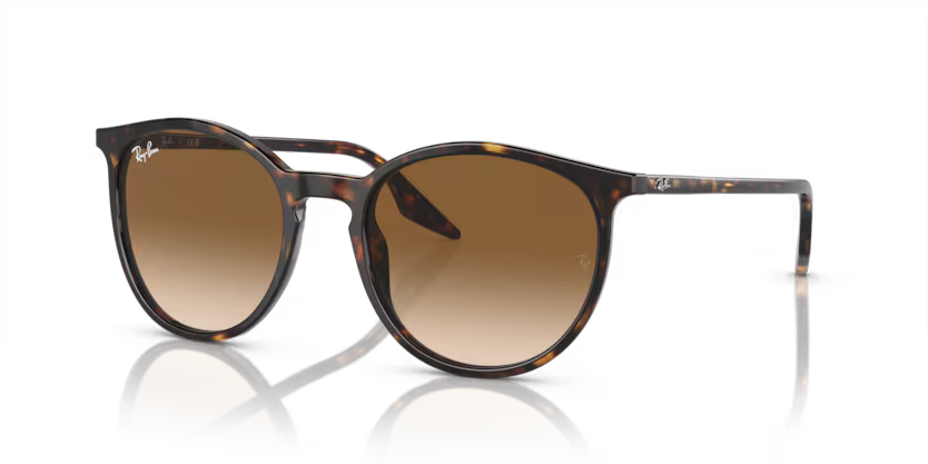 Occhiali da sole Ray Ban RB 2204