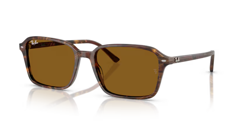 Occhiali da sole Ray Ban RB 2231 Raimond