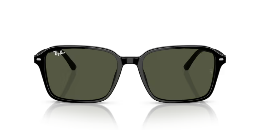 Occhiali da sole Ray Ban RB 2231 Raimond