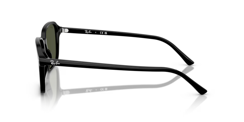 Occhiali da sole Ray Ban RB 2231 Raimond