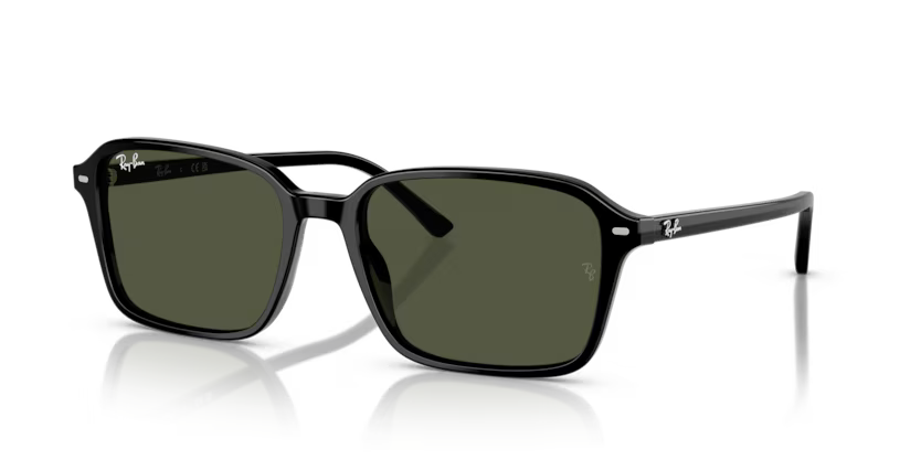 Occhiali da sole Ray Ban RB 2231 Raimond