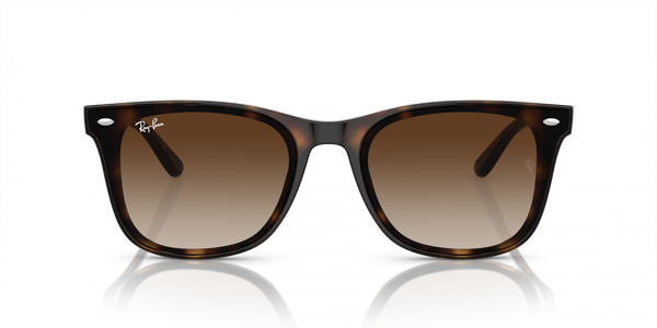 Occhiali da sole Ray Ban  RB 4420