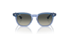 Occhiale da sole Ray Ban RJ 9098S