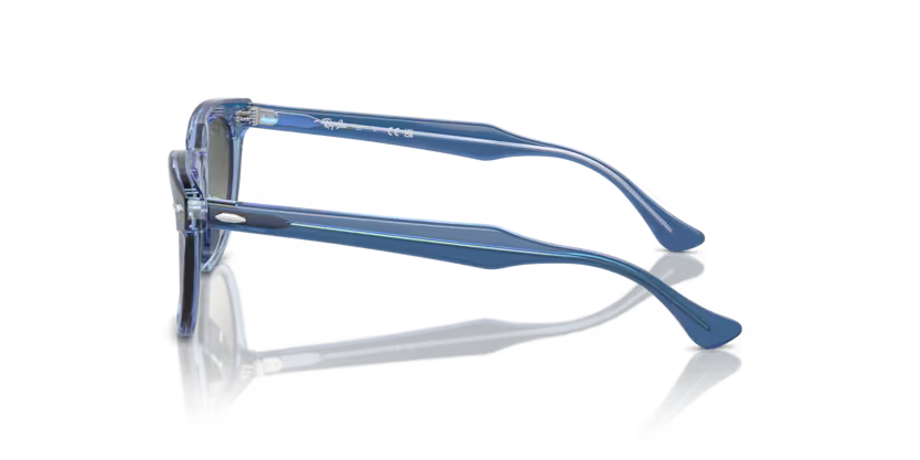Occhiale da sole Ray Ban RJ 9098S