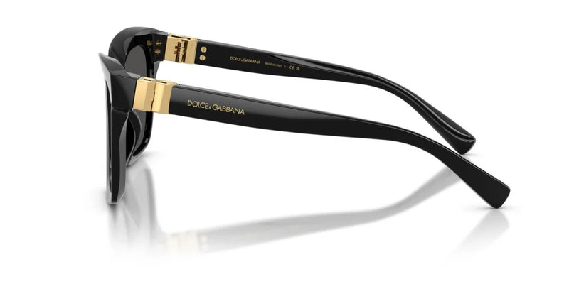 Occhiale da sole Dolce & Gabbana DG 4498
