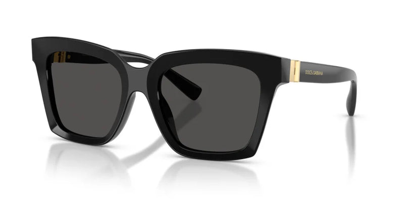 Occhiale da sole Dolce & Gabbana DG 4498