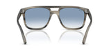 Occhiali da sole Ray Ban RB 2213