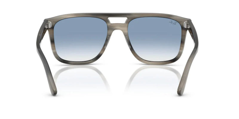 Occhiali da sole Ray Ban RB 2213