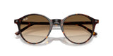 Occhiali da sole Ray Ban RB 2230 Bernard