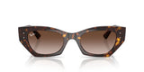 Occhiali da sole Ray Ban Zena RB 4430