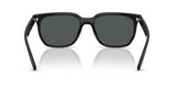 Occhiali da sole Ray Ban  RB 4466D