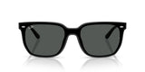 Occhiali da sole Ray Ban  RB 4466D
