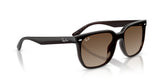 Occhiali da sole Ray Ban  RB 4466D