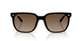 Occhiali da sole Ray Ban  RB 4466D