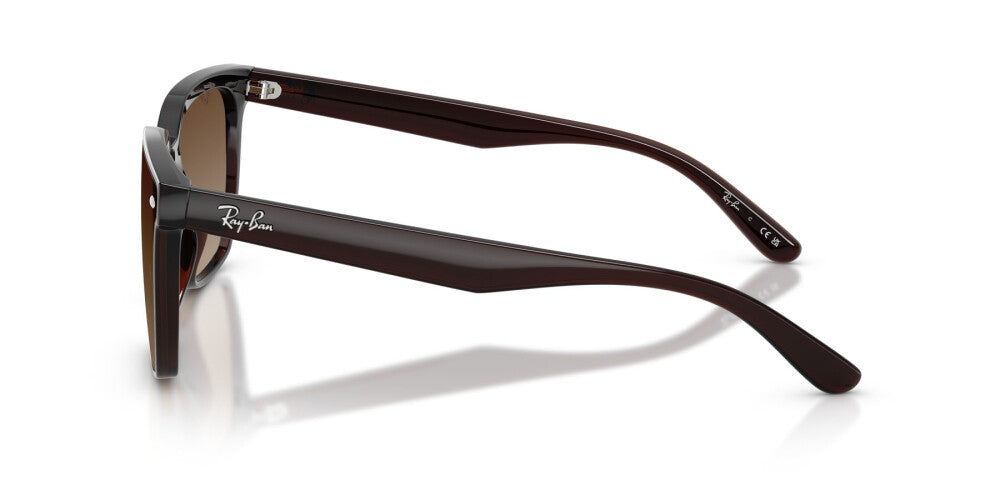 Occhiali da sole Ray Ban  RB 4466D
