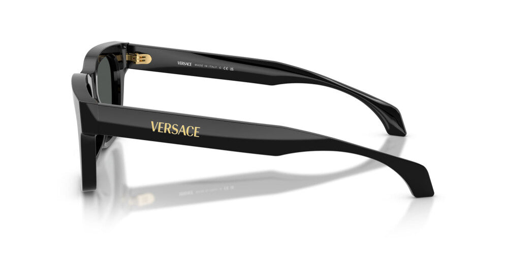 Occhiale da sole Versace VE 4486