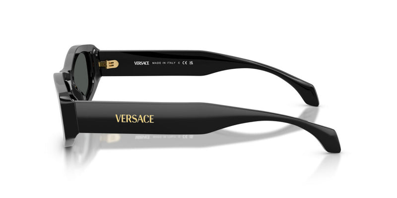 Occhiale da sole Versace VE 4487
