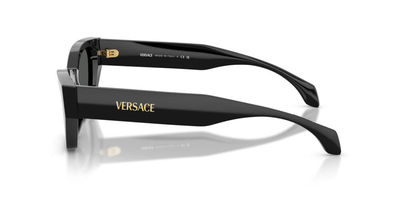 Occhiale da sole Versace VE 4488U