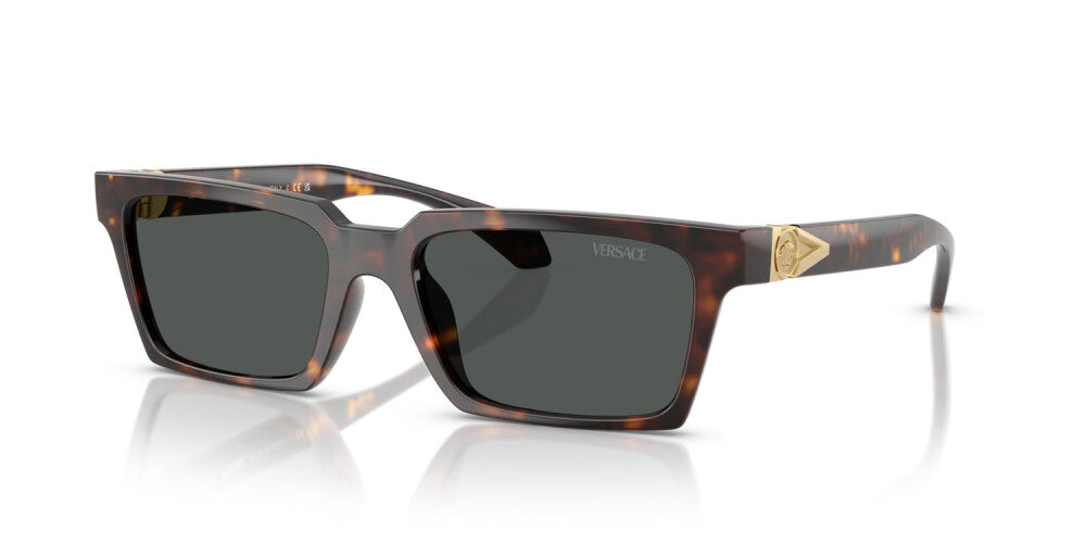Occhiale da sole Versace VE 4490U