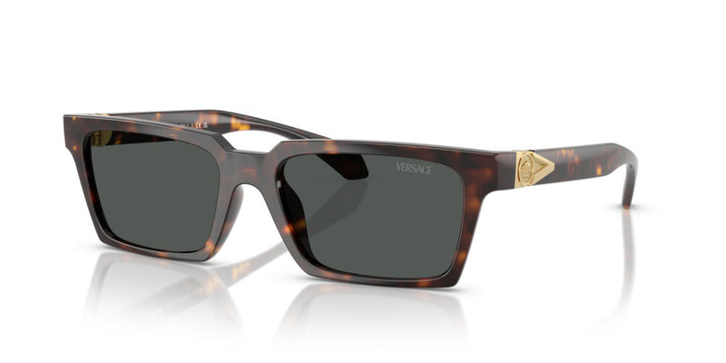 Occhiale da sole Versace VE 4490U