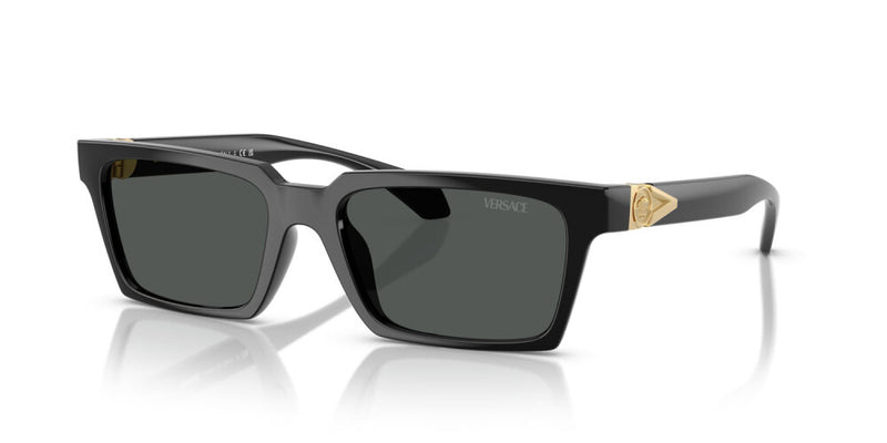 Occhiale da sole Versace VE 4490U