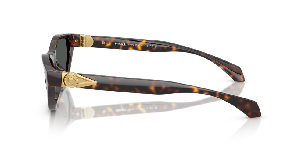 Occhiale da sole Versace VE 4491U