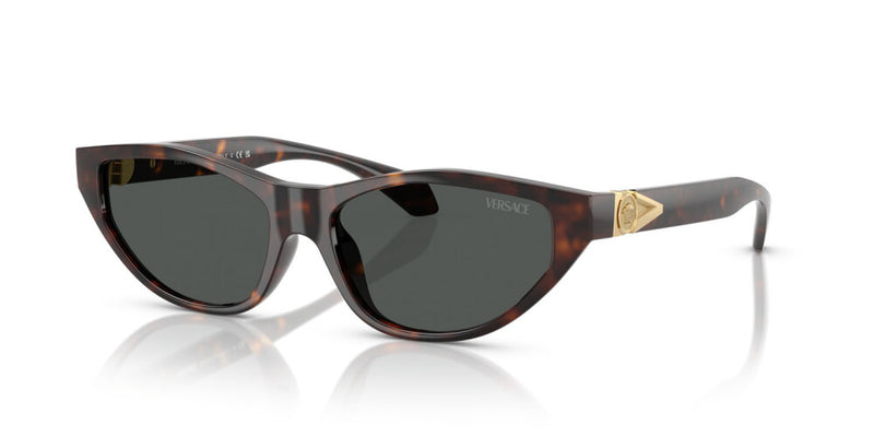 Occhiale da sole Versace VE 4491U