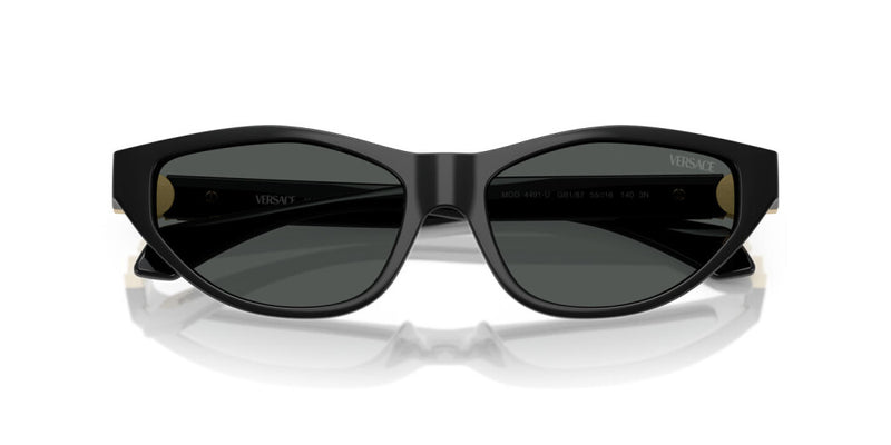 Occhiale da sole Versace VE 4491U