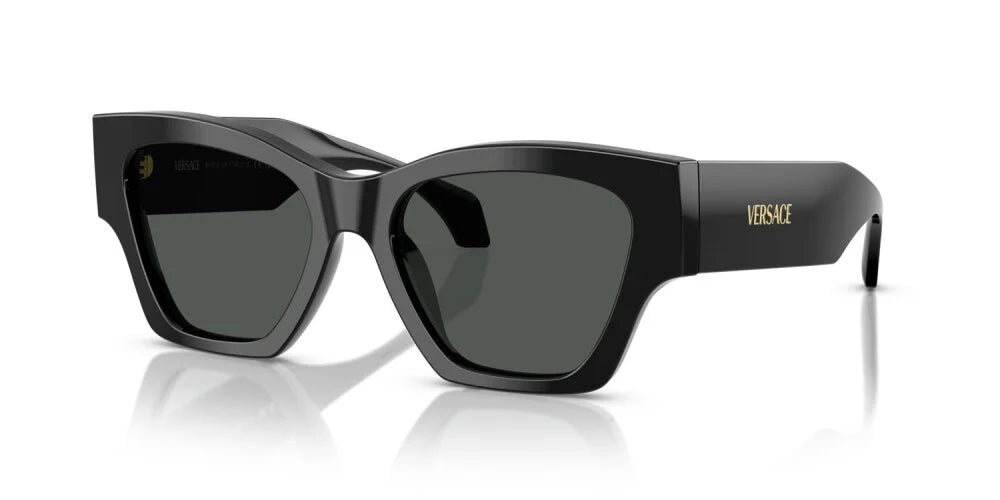 Occhiale da sole Versace VE 4492U