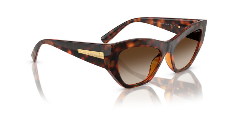Occhiali da sole Vogue eyewear  VO5607S