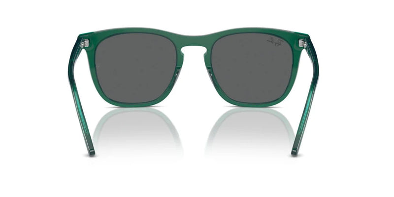 Occhiali da sole Ray Ban  RB 2210