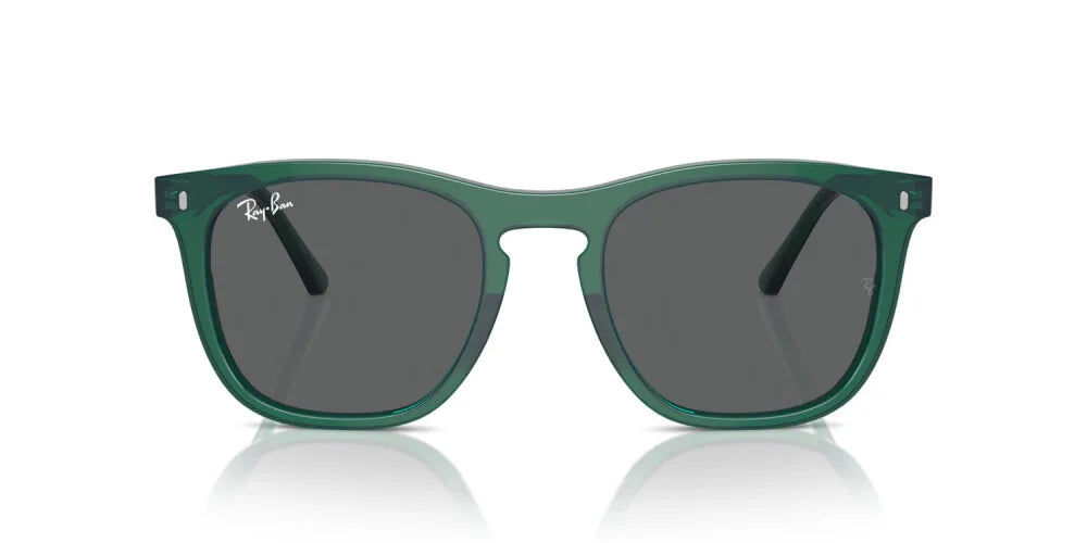 Occhiali da sole Ray Ban  RB 2210