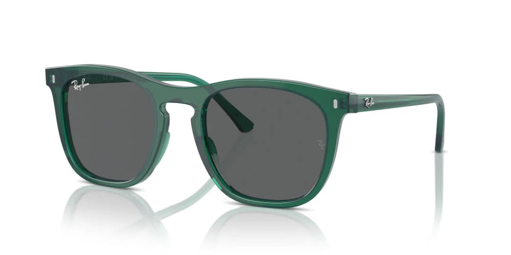 Occhiali da sole Ray Ban  RB 2210
