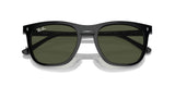 Occhiali da sole Ray Ban  RB 2210