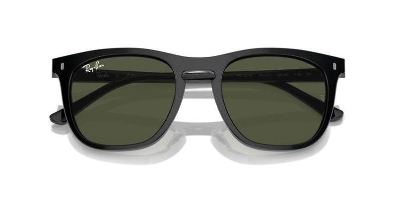 Occhiali da sole Ray Ban  RB 2210