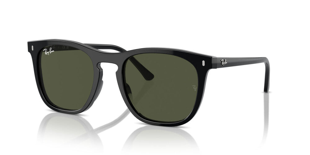 Occhiali da sole Ray Ban  RB 2210