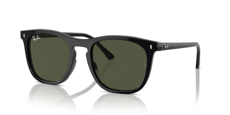 Occhiali da sole Ray Ban  RB 2210