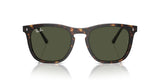 Occhiali da sole Ray Ban  RB 2210