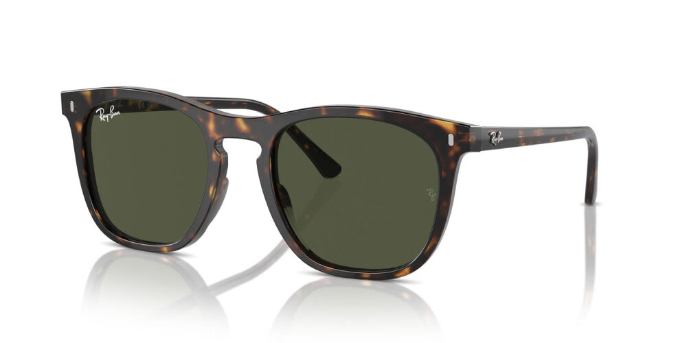 Occhiali da sole Ray Ban  RB 2210