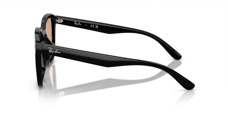 Occhiali da sole Ray Ban RB 4392D