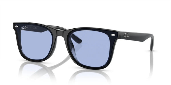Occhiali da sole Ray Ban  RB 4420