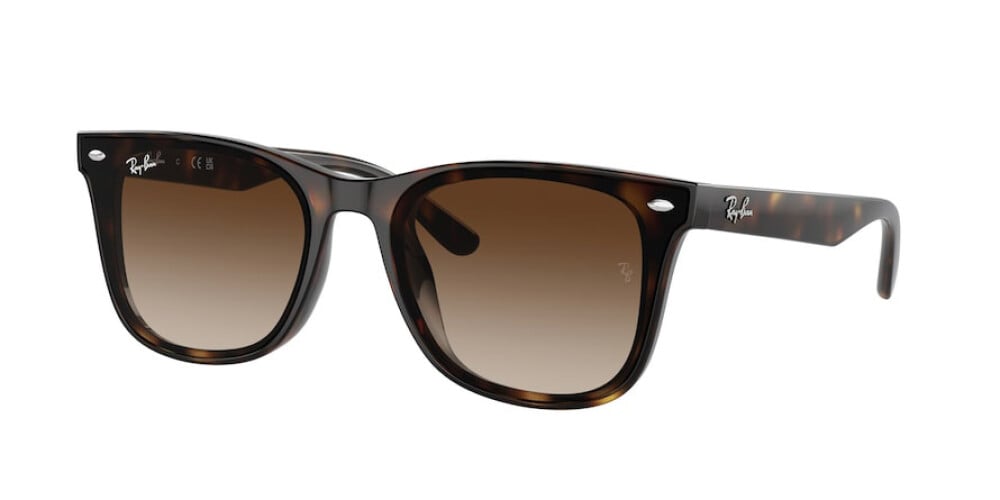 Occhiali da sole Ray Ban  RB 4420