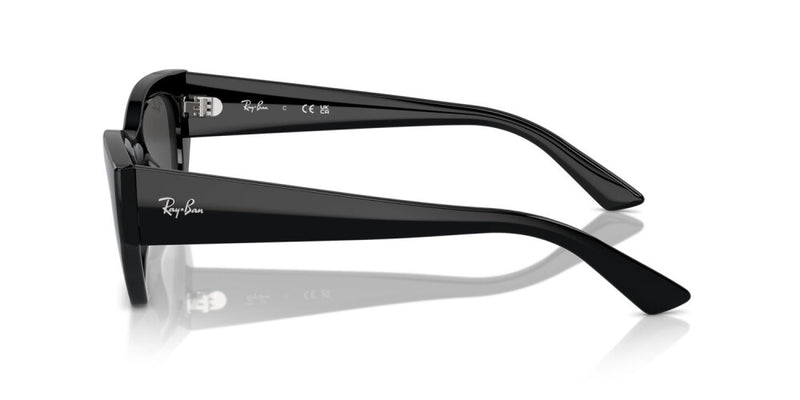 Occhiali da sole Ray Ban Zena RB 4430