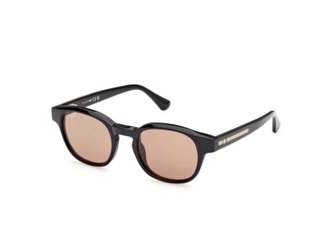 Occhiale da sole WE361